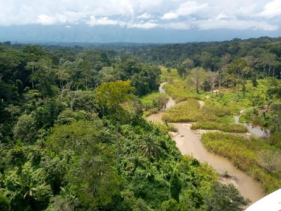 Nord-Kivu : plus de 750 ménages vivent en situation difficile à Mabalako