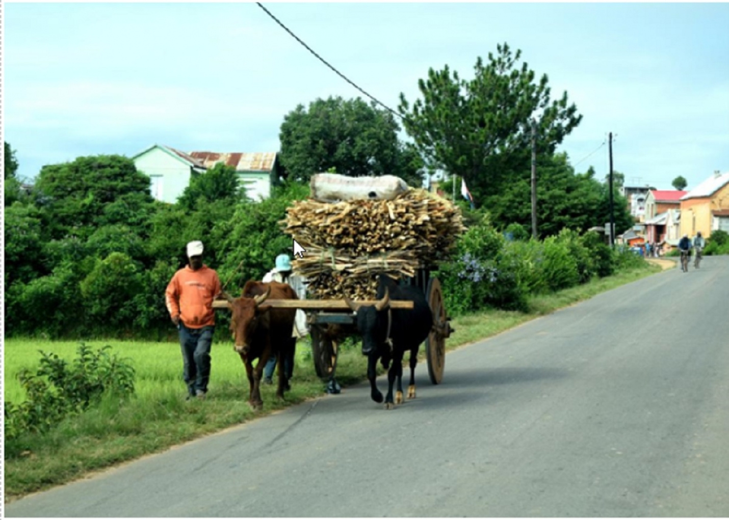 Développement durable  - Endettement et variable Covid 